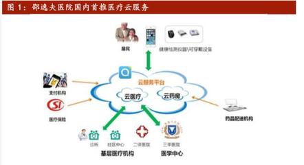 科技助力抗疫 互联网医疗行业迎来春天——聚焦信息技术咨询服务的角色