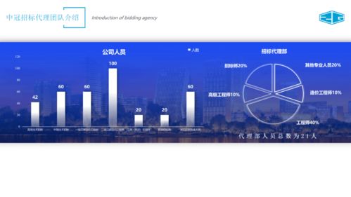 中冠咨询 全链条招标代理与政府采购服务专家，赋能信息技术咨询新高度